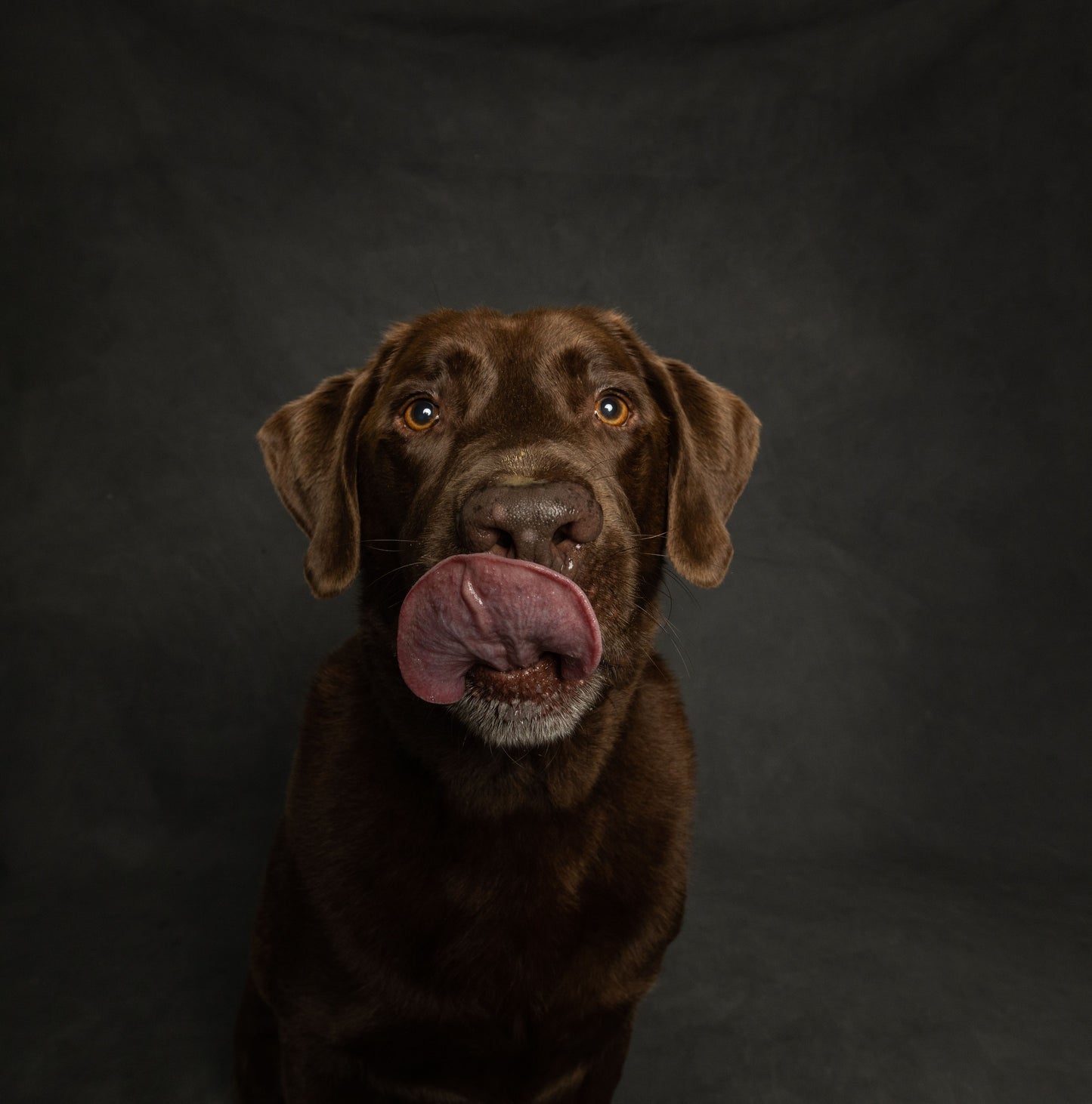 The Classic Lick Mat